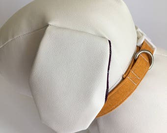 Autumn Glory dog Collar - 30cm
