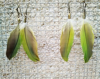 Wild Small Parakeet Feathers Earrings (Pair)