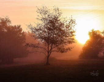 Morning Fog Sunrise