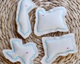 Unique Custom State & City Catnip Toy