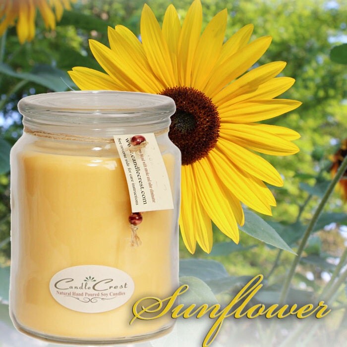 Sinus and Allergy Relief Soy Candles Helps Relieve Cold
