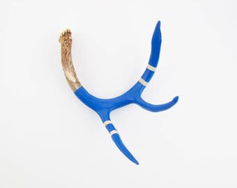 Painted Antler - MEDIUM - Royal Blue Monochromatic - Taxidermy and Curiosities