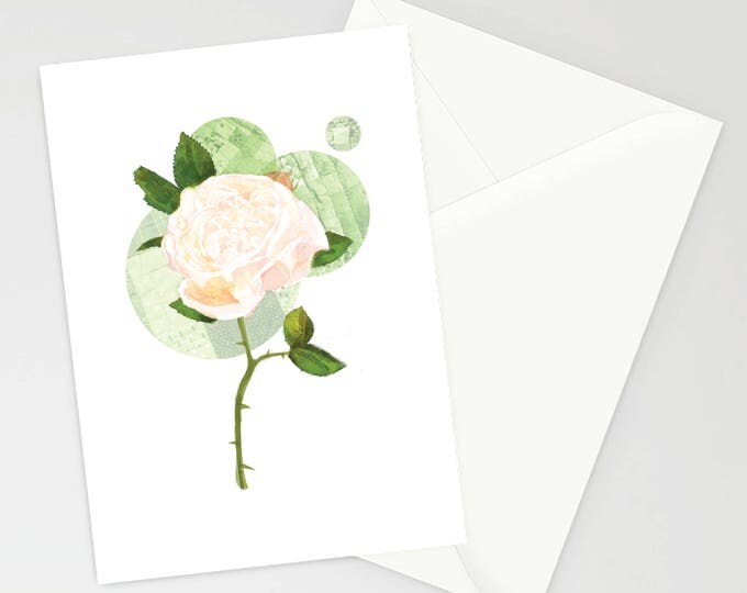 White Rose A6 Greetings card