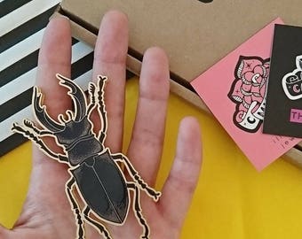 Stag Beetle Brooch. Big Beetle Pin. Large Stag Beetle. Laser Cut Bug Brooch. Insect Jewellery. Curiosities. Natural History Illustration