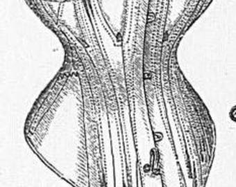 RESERVED for Aqueue 1876 corset second installment