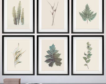 Set of Botanical Prints, Print Set Botanical, Set of 6 Prints, Leaves, Ferns, Small Prints, Botanical, Art Prints, Wall Art, Printable Art