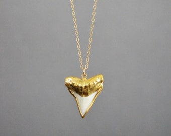 Shark Tooth Necklace || Real Shark Tooth Necklace || Gold Shark Tooth Necklace || 14k Gold Filled