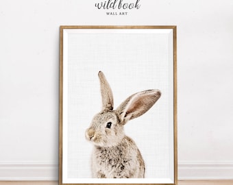Rabbit Print, Nice Rabbit, Nursery Decor, Baby Animal Print, Nursery Wall Art, Nursery Animal Prints, Woodland Animal Print, Photography
