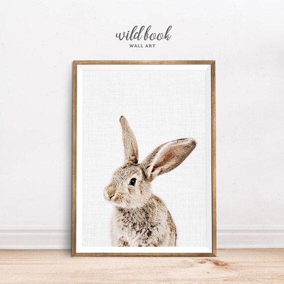 Rabbit Print Nice Rabbit Nursery Decor Baby Animal Print