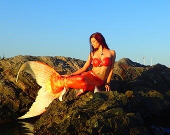 Mermaid tail silicone goldenfish