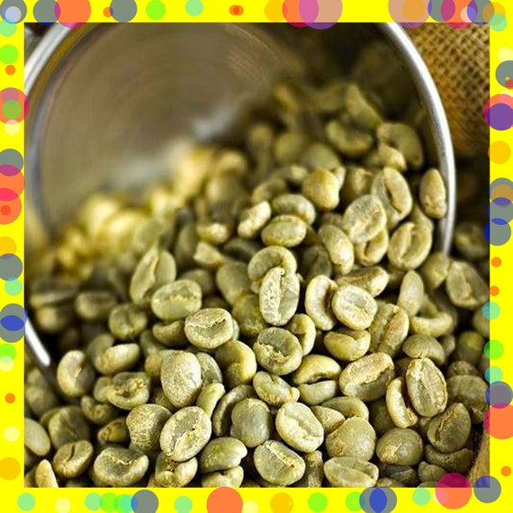 Garcinia cambogia bio image 7