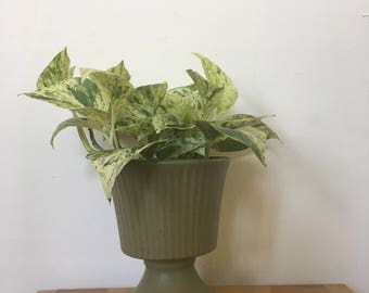 Speckled Green McCoy Floraline USA Fluted Pot