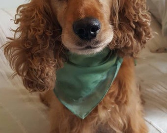 Pure Silk Dog Scarf, silk square, silk scarf, dog accessories
