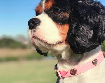 dog collar/leather collar/gift/dog gift/handmade/pet collar/leather dog collar/handmade/pink collar/red collar/puppy/dog/collar