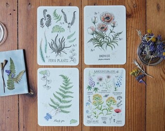 Ferns and Flowers Card Set of 4