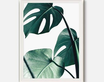 Monstera print, Monstera Leaf, Tropical Leaf print, Tropical print, Mint Green, Green leaves, Nature Photography, Philodendron, Nature Art