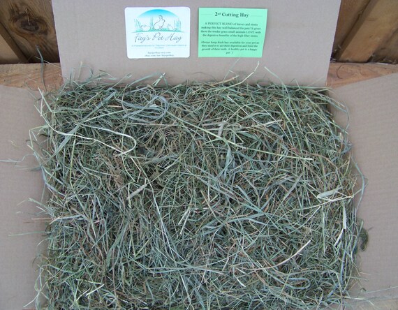10 lb 2nd Cutting Pet Hay Premium Timothy/Orchard Grass