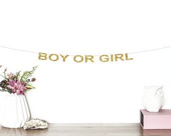 Banner Baby Shower "Ragazzo O Ragazza? Cosa Sarà?" - 2 Striscioni In Carta Glitterata Pre-Infiliati - Decorazione Per Feste Di Rivelazione Sesso - 3