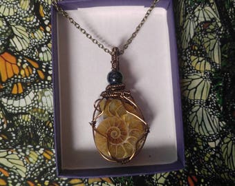 ammonite necklace ammonite necklace