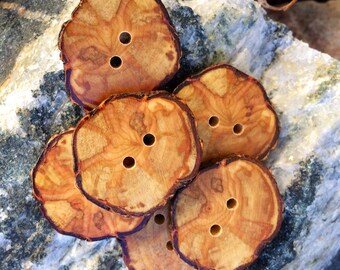 Unique Willow Wood Buttons // Handmade Wooden Buttons // Set of 6 Wood Buttons
