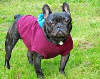 Dog Hoodie