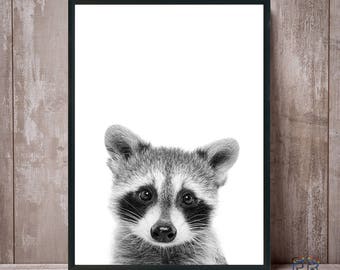 Racoon Print, Nursery Wall Art, Nursery Decor, Black and White, Baby Shower, Digital Download, Racoon Poster, Kids Room Decor, Racoon Photo