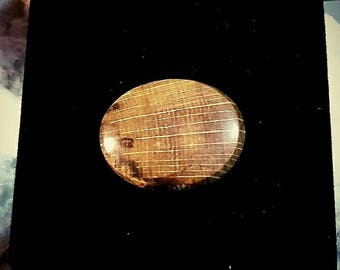 Oval petrified wood cabochon