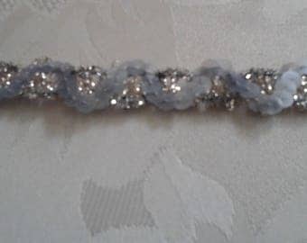 Beautiful sequins and silver braid
