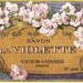 VioletteGarden