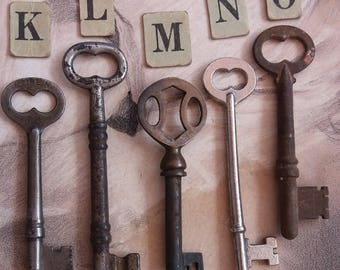 One Vintage Skeleton Key
