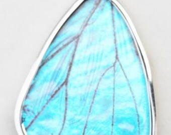 Medium Pearl Blue Morpho Butterfly Wing Silver Pendant