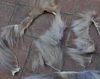 Six Soft Beautiful Real Timber Wolf Fur Scraps