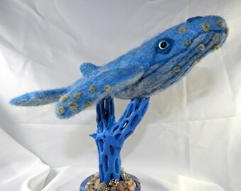 Light Blue Whale