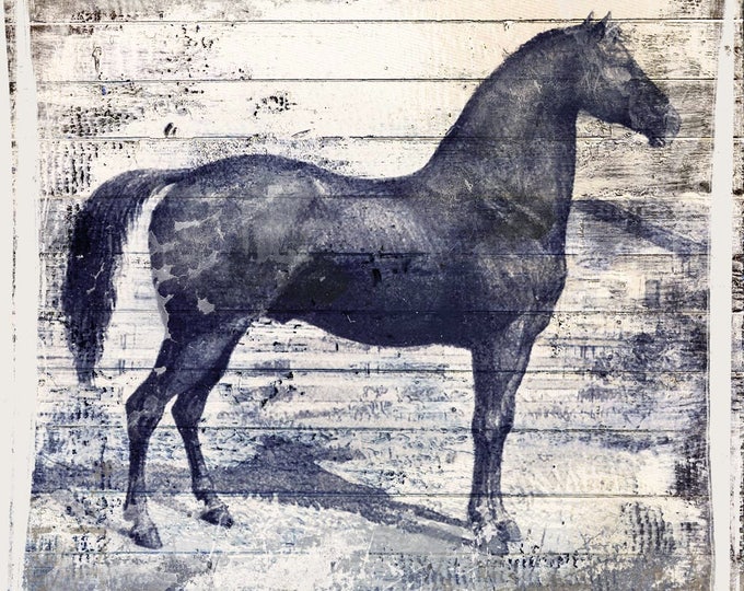 Black Horse II. Large Horse, Unique Black Horse Canvas Print, Rustic Horse, Large Vintage Canvas Art Print up to 48" by Irena Orlov