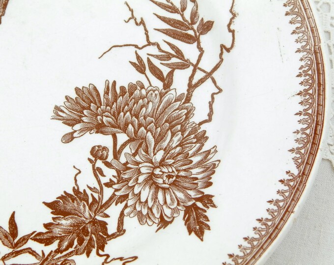 Antique French Plate Bird and Flower Pattern in Chocolate Brown on White Glaze by FF Pexonne Badionviller, Victorian Plate from France, 1880 Antique French Plate Bird and Flower Pattern in Chocolate Brown on White Glaze by FF Pexonne Badionviller, Victorian Plate from France, 1880