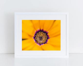 Yellow Flower Wall Art yellow flowers print | etsy Yellow Flower Wall Art yellow flowers print | etsy