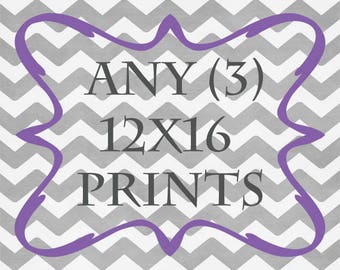 Any (3) 12x16 Print - ANY prints from Rizzle And Rugee - Great for IKEA frames
