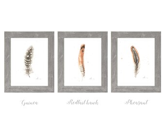 Feather Art Woodland Print Watercolor Nursery Wall Feather Art Woodland Print Watercolor Nursery Wall