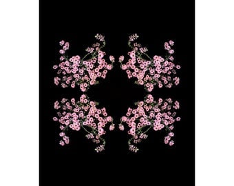 Limited Edition Fine Art Print-Flowers-Floral-Florography-Modern Art-Pink-Black-Flower-Abstract-Nature-Minimalist-Minimal-Interior Design