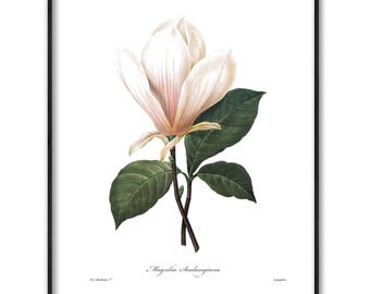 Magnolia art | Etsy