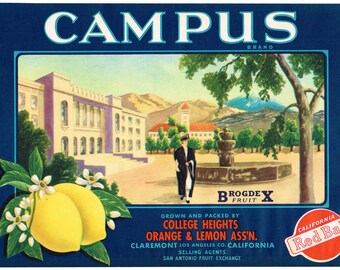 vintage crate labels etsy