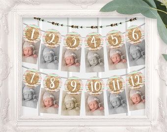 First Year Photo Banner l Wild One l 1 - 12 months l Baby's First Birthday Banner l Pink Gold Photo Banner l 12 Month Photo Banner