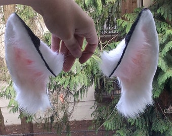 Tall Arctic Fox Ears