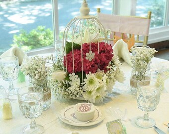 Decorative Birdcage Ivory Bird Cage Display