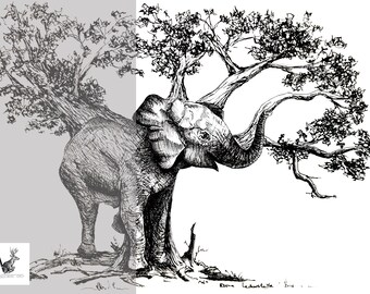 Elephant - Original Ink Drawing