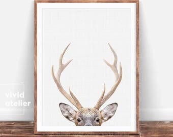 Deer Print, Deer Antlers, Woodland Nursery, Forest Animal Wall Art, Nursery Printable, Baby Woodland Print, Deer Poster, Nursery Decor, Art