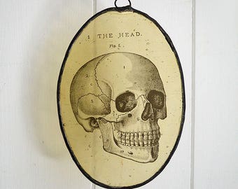 Victorian Home Decor / Stained Glass Oval Skull / Gothic Memento / Steampunk Art