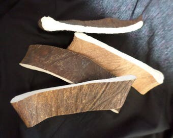 large Moose Antler Dog Chews -------all natural