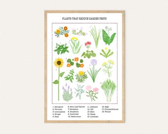 Plants that Reduce Garden Pests, A3 & A4, Poster, Permaculture, Organic, Gardening