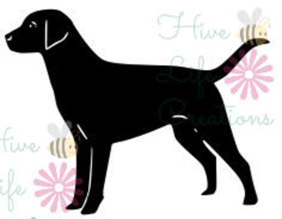 Download Labrador Retriever Instant Download Lab Dog Silhouette SVG